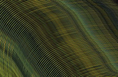 Arkaplan için renkli gradyan, geometrik desen