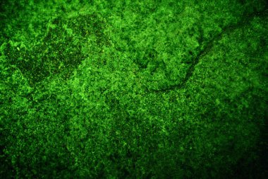 Yeşil doku, soyut arkaplan