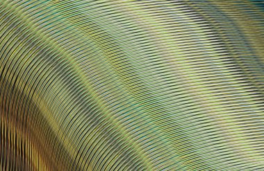 soyut çizgili doku, dijital duvar kağıdı