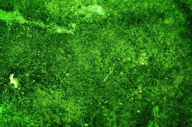 Yeşil doku, soyut arkaplan