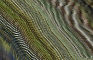 soyut çizgili doku, dijital duvar kağıdı