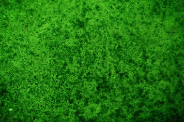 Yeşil doku, soyut arkaplan