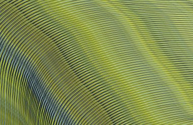 soyut çizgili doku, dijital duvar kağıdı