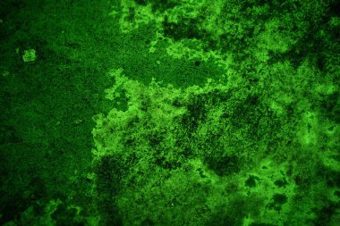 Yeşil doku, soyut arkaplan