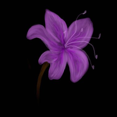 Koyu arkaplanda güzel çiçek çizimi