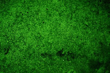 Yeşil doku, soyut arkaplan