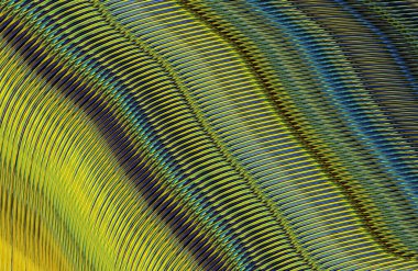 Arkaplan için renkli gradyan, geometrik desen