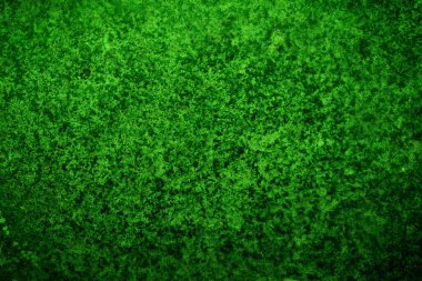 Yeşil doku, soyut arkaplan