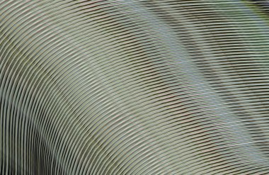 soyut çizgili doku, dijital duvar kağıdı