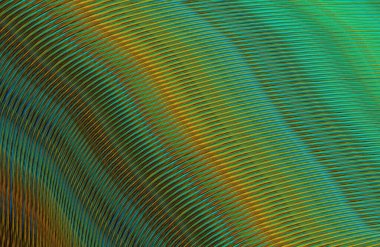 soyut çizgili doku, dijital duvar kağıdı