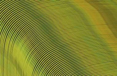 soyut çizgili doku, dijital duvar kağıdı