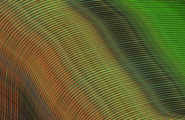 soyut çizgili doku, dijital duvar kağıdı