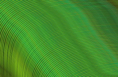 soyut çizgili doku, dijital duvar kağıdı