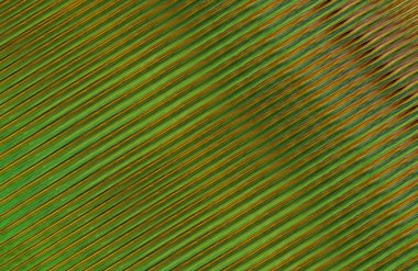 soyut çizgili doku, dijital duvar kağıdı