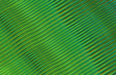 Geometrik desenli bir arkaplan tasarla 