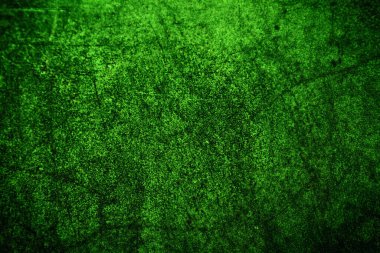 Yeşil doku, soyut arkaplan