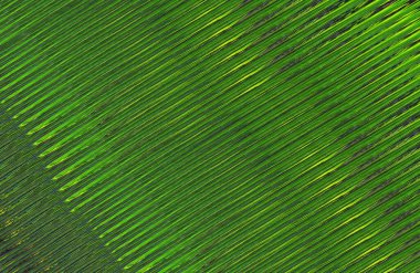 Arkaplan için renkli, geometrik desen