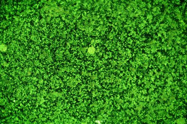 Yeşil doku, soyut arkaplan