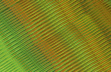 Arkaplan için renkli gradyan, geometrik desen