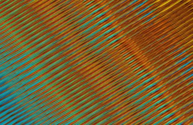 soyut renkli doku arkaplanı, uzay duvar kağıdını kopyala 