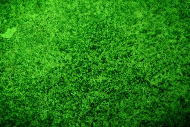 Yeşil doku, soyut arkaplan