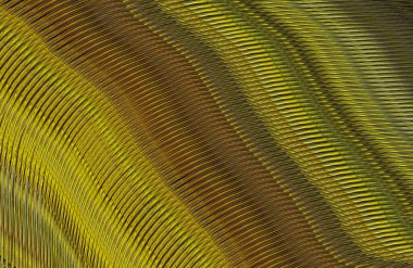 soyut çizgili doku, dijital duvar kağıdı