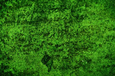 Yeşil doku, soyut arkaplan