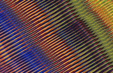 soyut çizgili doku, dijital duvar kağıdı