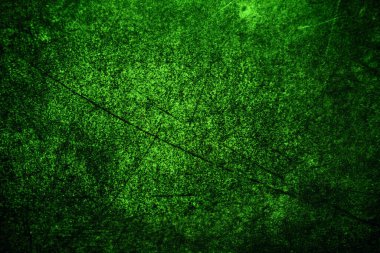 Yeşil doku, soyut arkaplan