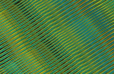 soyut renkli doku arkaplanı, uzay duvar kağıdını kopyala 