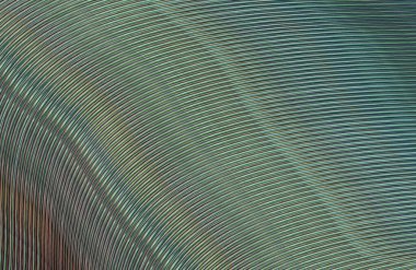 soyut çizgili doku, dijital duvar kağıdı