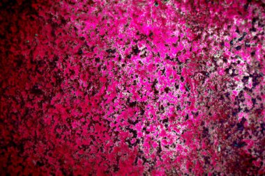 Kapak tasarımı, renkli gradyanlar, gelecekteki geometrik desenler, modern soyut kapaklar 