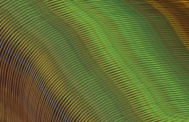 soyut çizgili doku, dijital duvar kağıdı