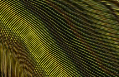 soyut çizgili doku, dijital duvar kağıdı