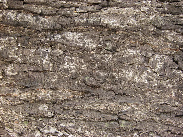 Skalní Útvar Textura Povrch Kamene — Stock fotografie