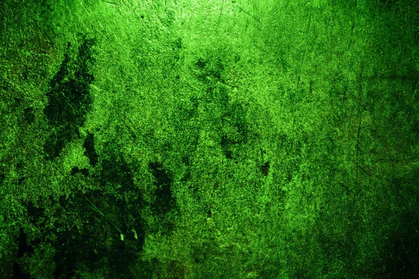 Grüne Textur Abstrakter Hintergrund — Stockfoto
