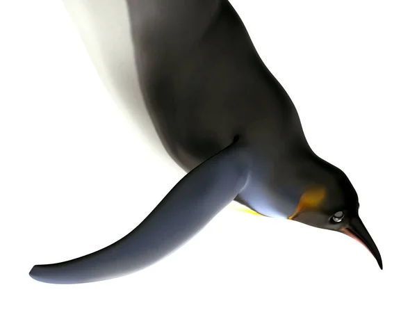 Rendering Pinguini Dei Cartoni Animati — Foto Stock