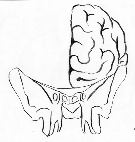 Anatomisk Lobe Stock Photos Royalty Free Anatomisk Lobe Images anatomisk-lobe-stock-photos-royalty-free-anatomisk-lobe-images