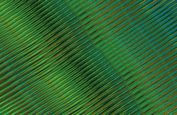 Geometrik desenli bir arkaplan tasarla 