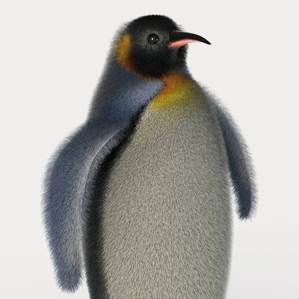 Renderização Pinguim Desenhos Animados — Fotografia de Stock