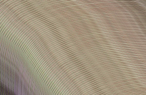 soyut çizgili doku, dijital duvar kağıdı