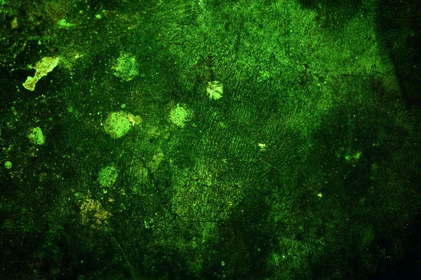 Yeşil doku, soyut arkaplan