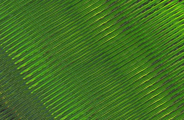 Arkaplan için renkli, geometrik desen