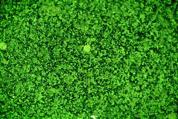 Yeşil doku, soyut arkaplan