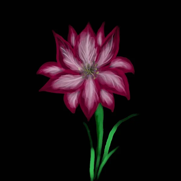 Koyu Arkaplanda Güzel Çiçek Çizimi — Stok fotoğraf