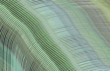 soyut çizgili doku, dijital duvar kağıdı