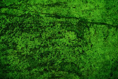 Yeşil doku, soyut arkaplan