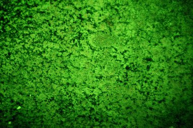 Yeşil doku, soyut arkaplan