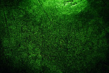 Yeşil doku, soyut arkaplan