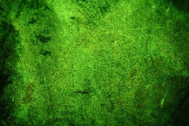 Yeşil doku, soyut arkaplan